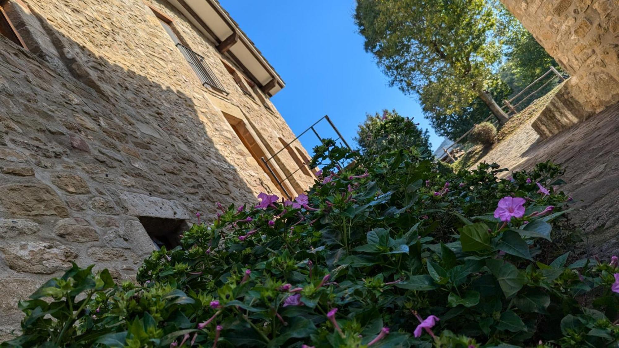 Mas El Carrer Διαμέρισμα Santa Pau Εξωτερικό φωτογραφία